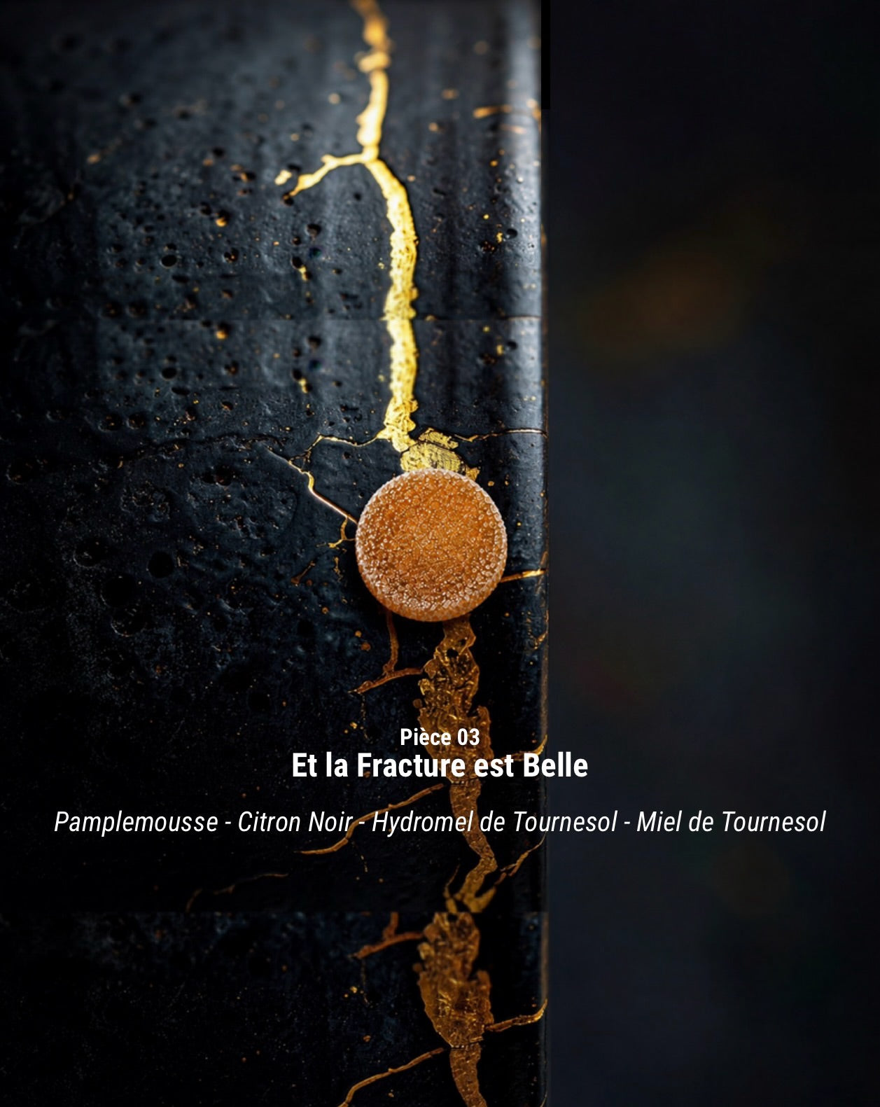 SERIE-01 — La Lumière dans l’Obscurité